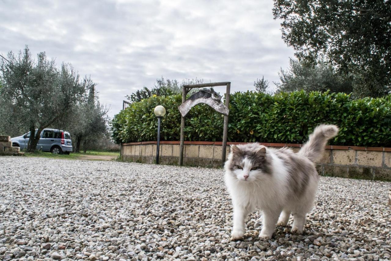 Country House Maremma Nel Tufo Pitigliano Zewnętrze zdjęcie